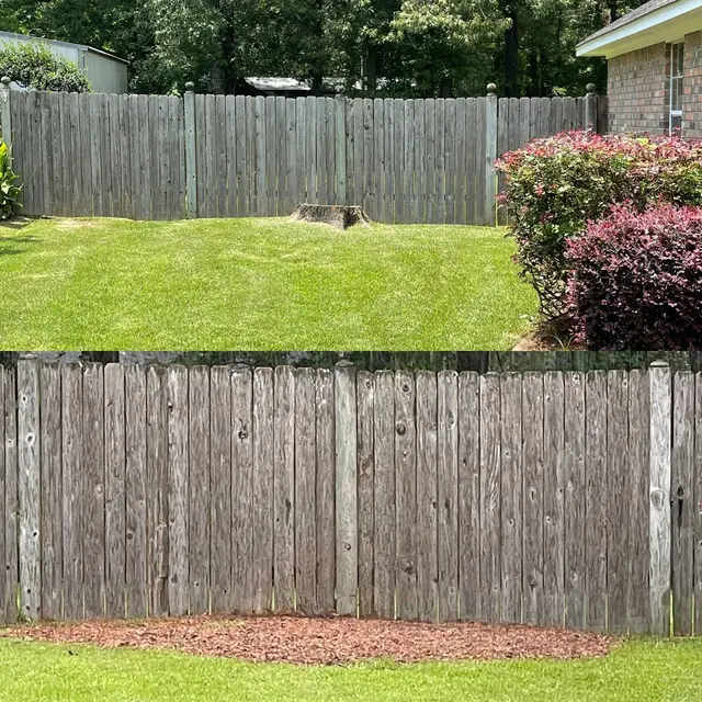 MAD Stump Grinding and More LLC — photo from the business 7