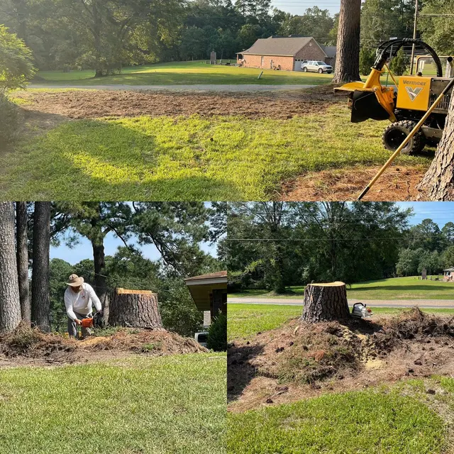 MAD Stump Grinding and More LLC — photo from the business 1