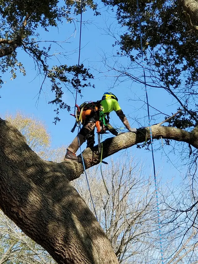 Littleton Property Services LLC — photo from the business 4