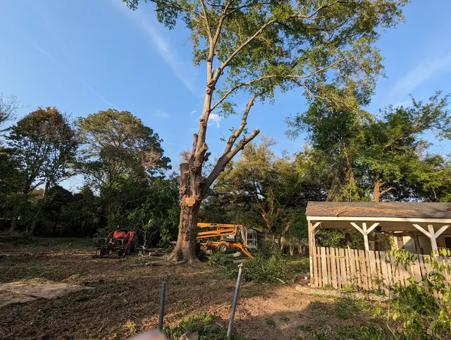 Littleton Property Services LLC — customer photo 3