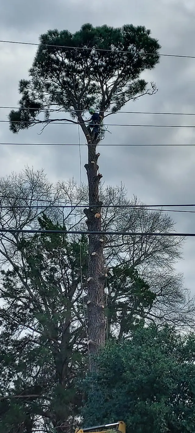 Littleton Property Services LLC — customer photo 9