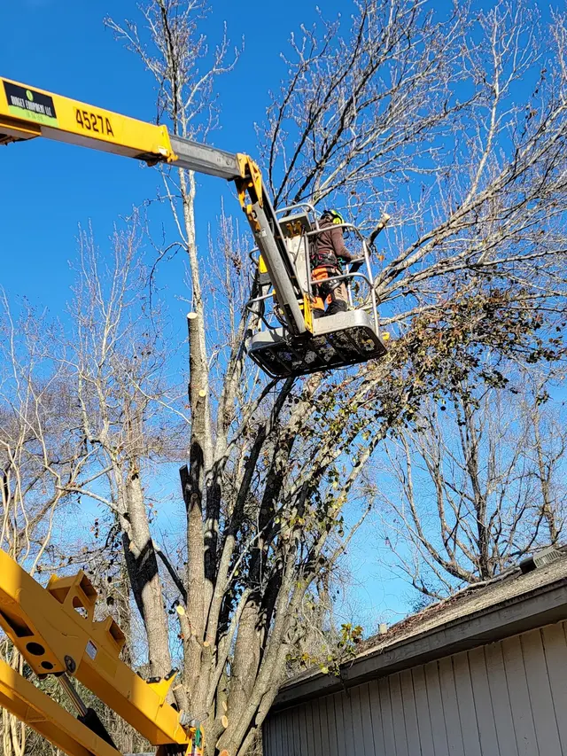 Littleton Property Services LLC — photo from the business 5