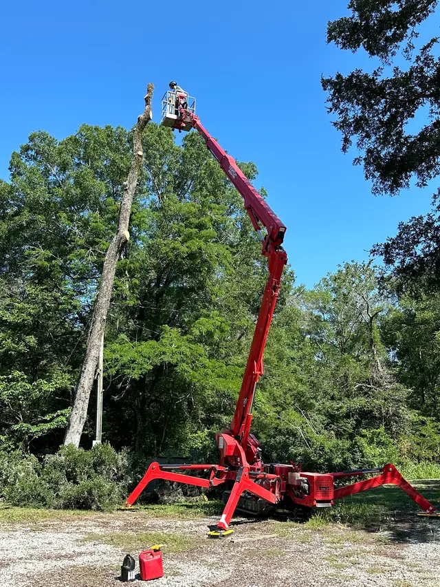 Cajun Tree Cutters — photo from the business 1