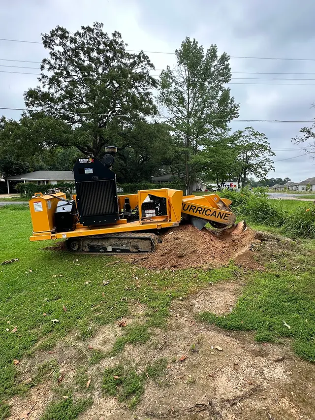 Cajun Tree Cutters — photo from the business 3
