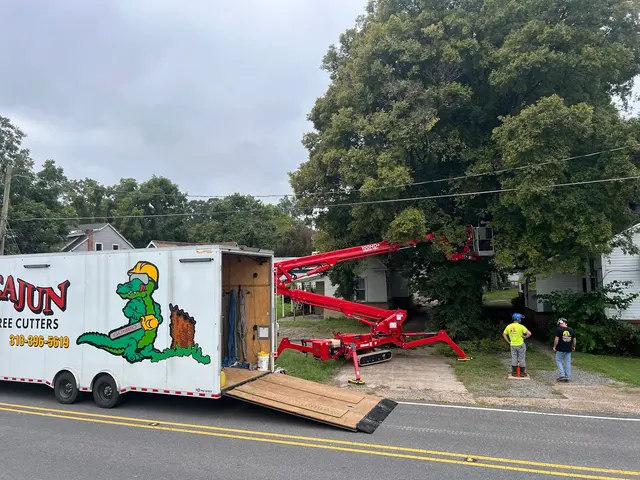 Cajun Tree Cutters — customer photo 2