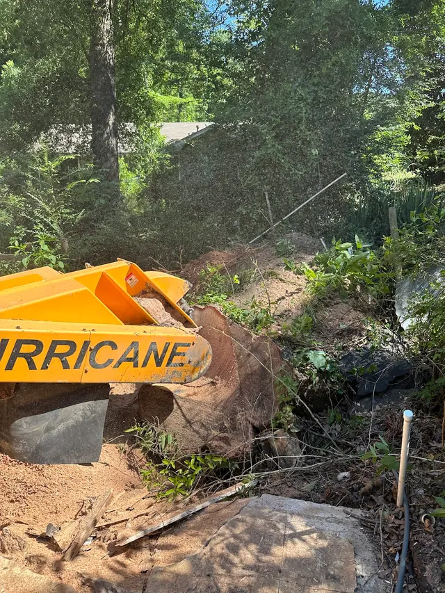 Cajun Tree Cutters — photo from the business 5
