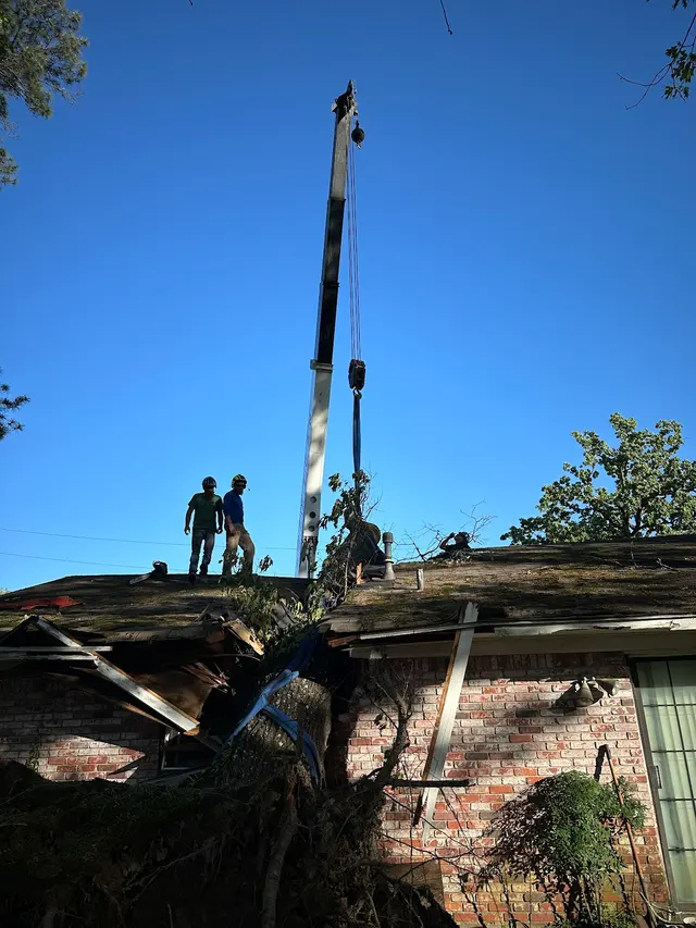 Cajun Tree Cutters — photo from the business 4
