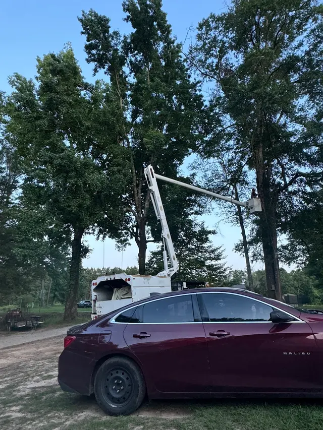 Vital Tree Solutions — photo from the business 10