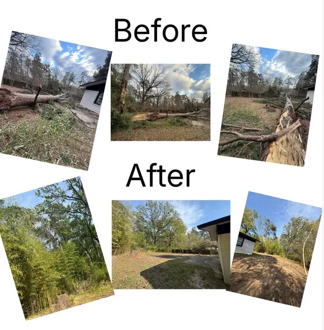Customer photo of work by Vital Tree Solutions, from Dex Poindexter's review