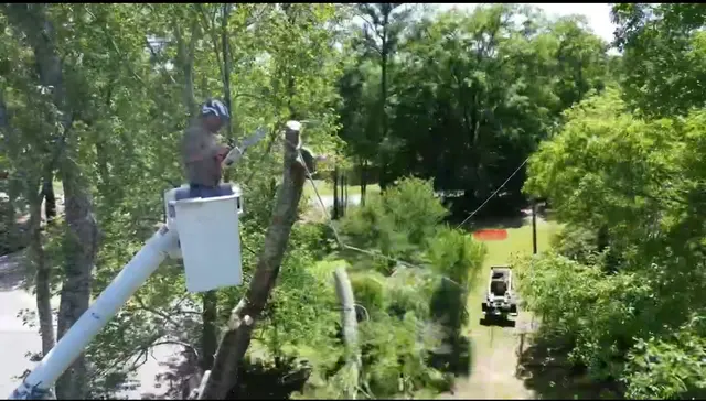 Vital Tree Solutions — photo from the business 12