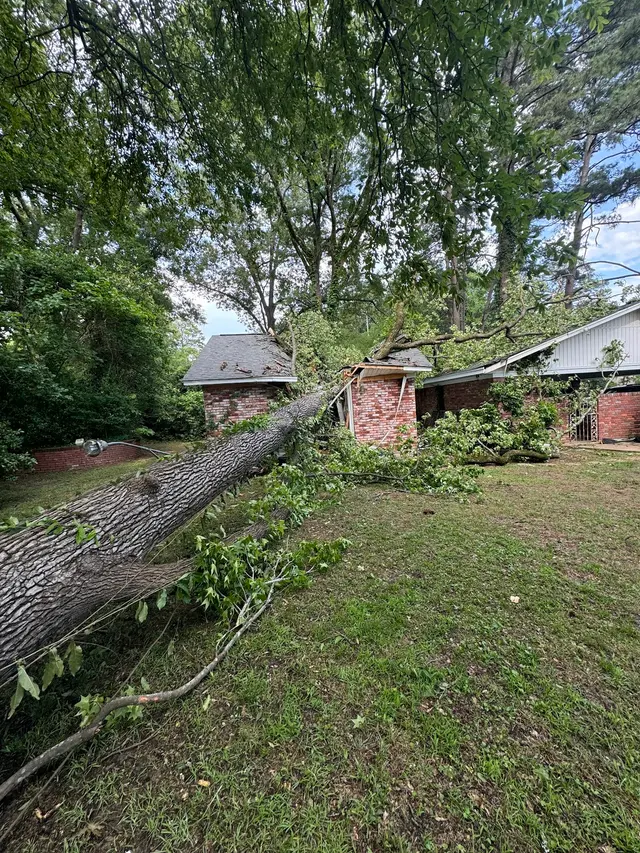 Vital Tree Solutions — photo from the business 4