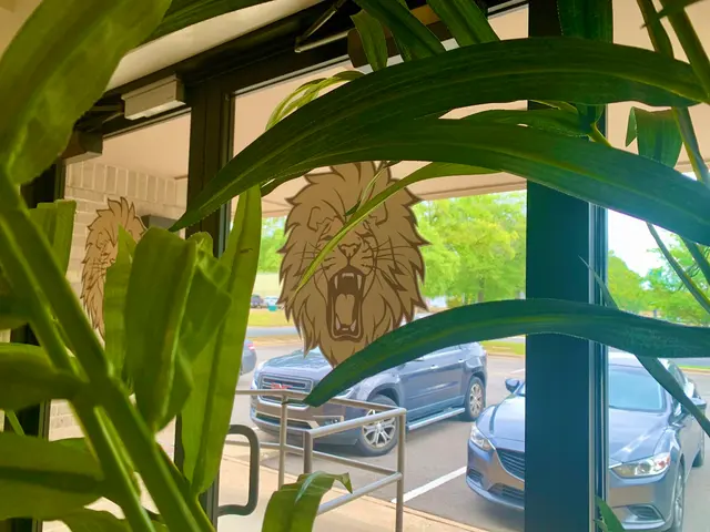 Lion Legal — photo from the business 12
