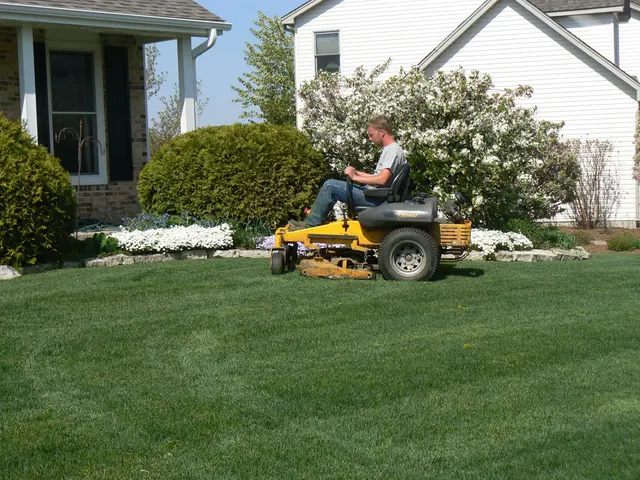 Lindstrom Landscaping & Design — photo from the business 7