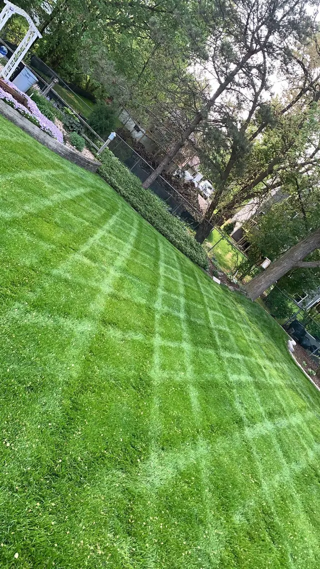 Alba Landscaping — photo from the business 4