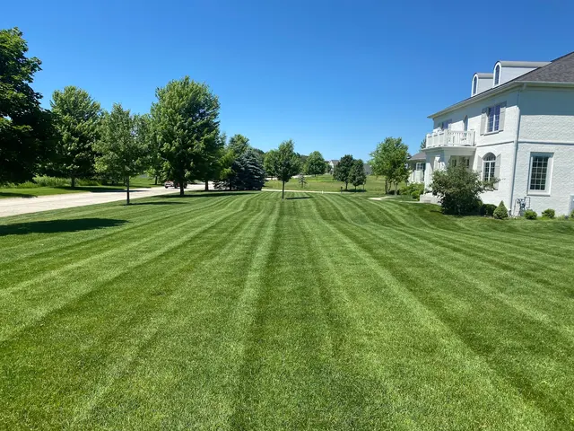 Alba Landscaping — photo from the business 5