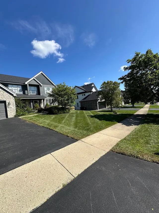 Alba Landscaping — photo from the business 8