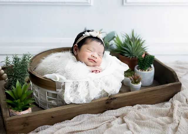Walls of Wonders Photography — photo from the business 11
