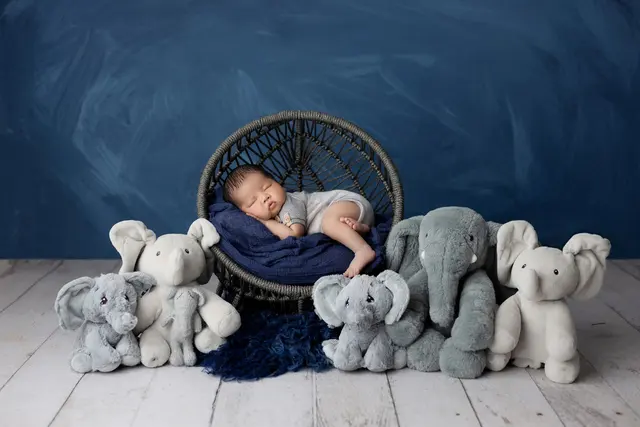 Walls of Wonders Photography — photo from the business 10