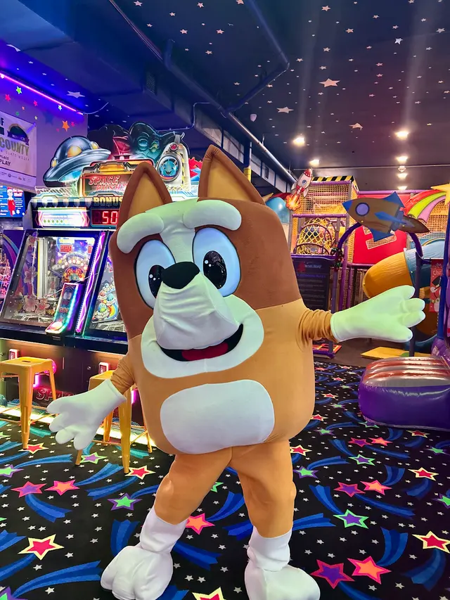 Planet Play — photo from the business 5