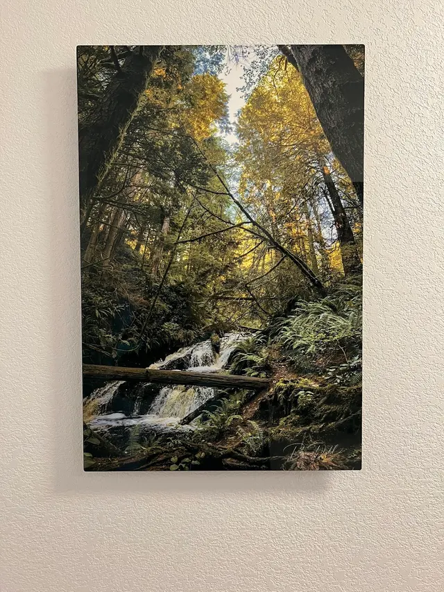 Customer photo of work by Artbeat Studios, from Port Ludlow Gallery & Gifts's review