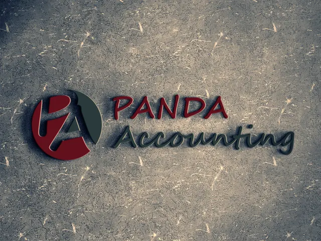 Panda Accounting CPA — photo from the business 7