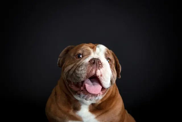 Yee Lim Photography — photo from the business 9
