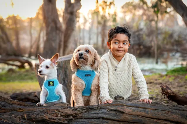Yee Lim Photography — photo from the business 8