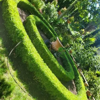 Dove Landscaping — photo from the business 7