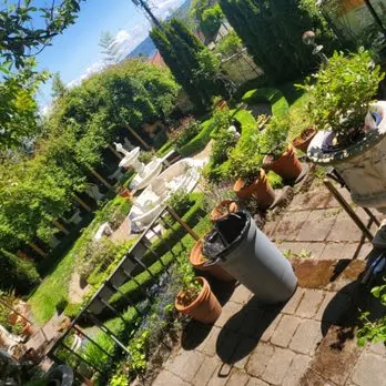 Dove Landscaping — photo from the business 6