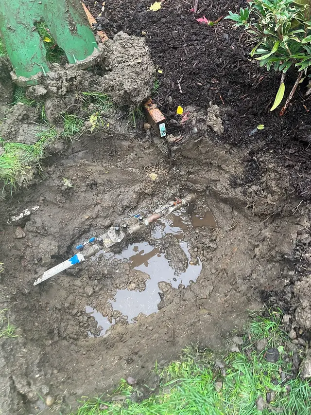 Customer photo of work by Tiger's Landscape & Construction, from Mary Platt's review
