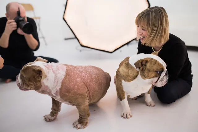 Dogma Pet Portraits — photo from the business 8