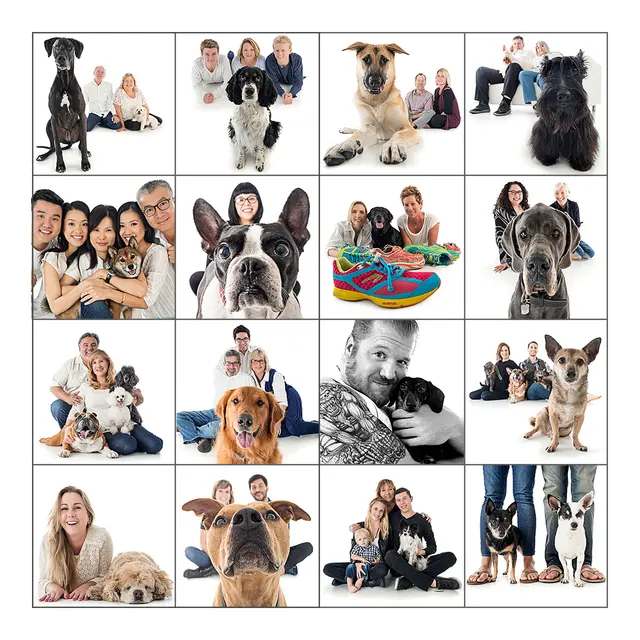 Dogma Pet Portraits — photo from the business 2