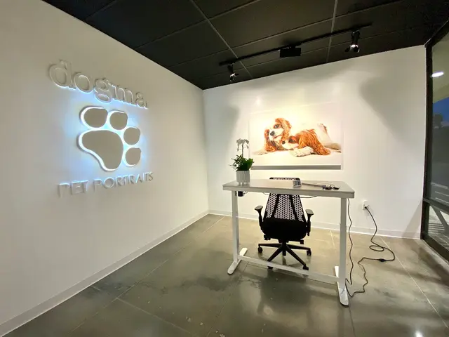 Dogma Pet Portraits — photo from the business 3