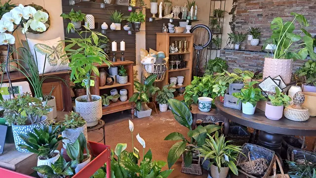 Angelica's Florist & Gifts — customer photo 3
