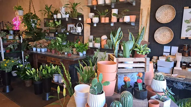 Angelica's Florist & Gifts — customer photo 11