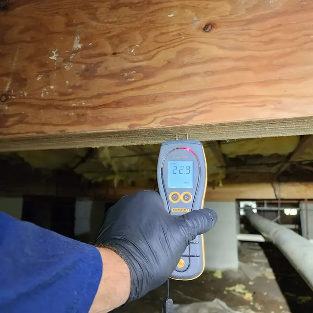 People's Choice Home Inspections — photo from the business 6