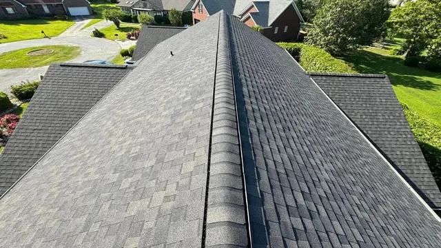 Sunny Day Roofing - Charleston — photo from the business 12