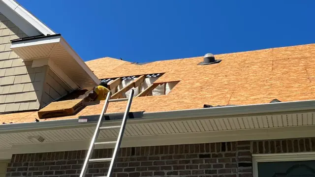 Sunny Day Roofing - Charleston — photo from the business 6