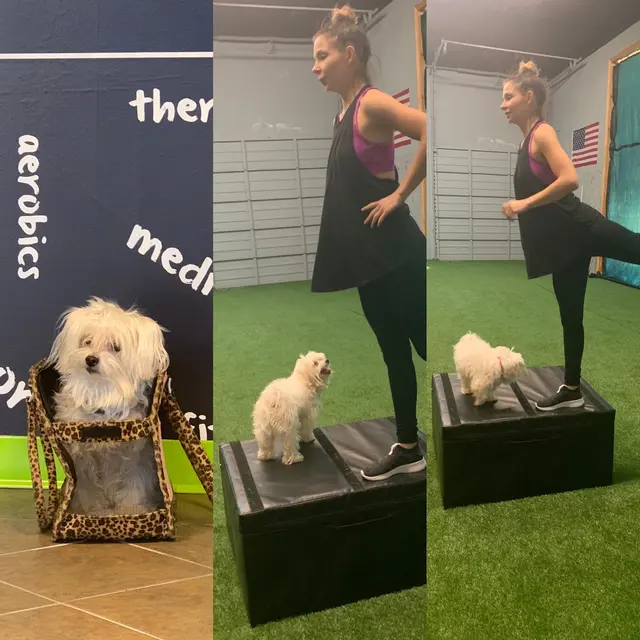 123 Total Fitness — photo from the business 10