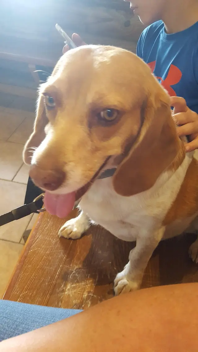Pontchartrain Animal Hospital — customer photo 3