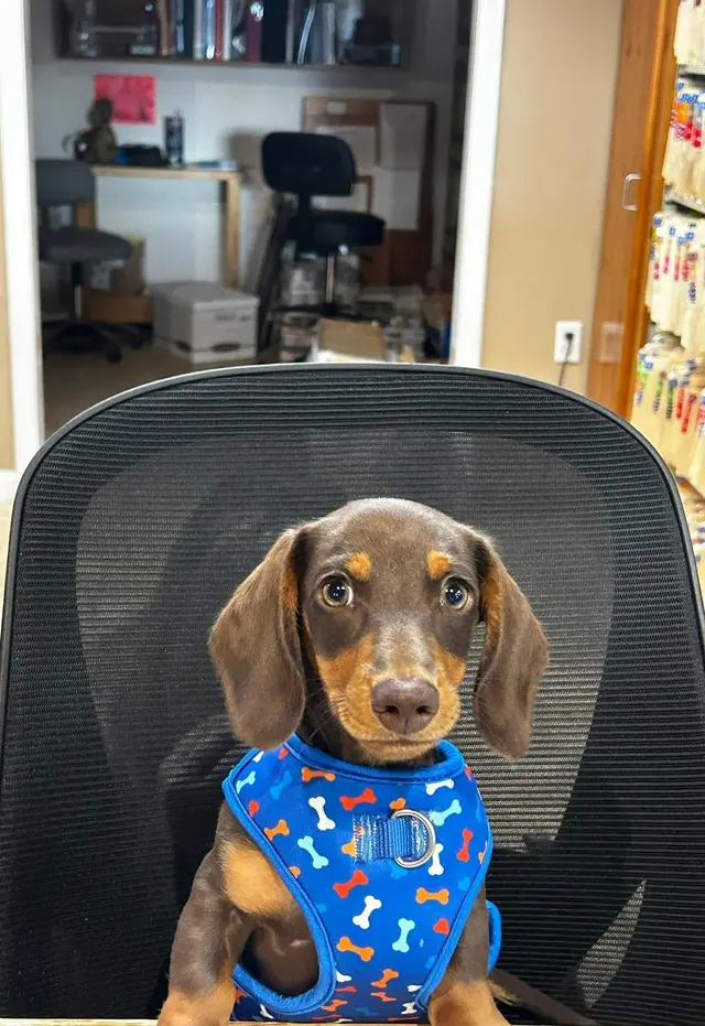 Pontchartrain Animal Hospital — photo from the business 11