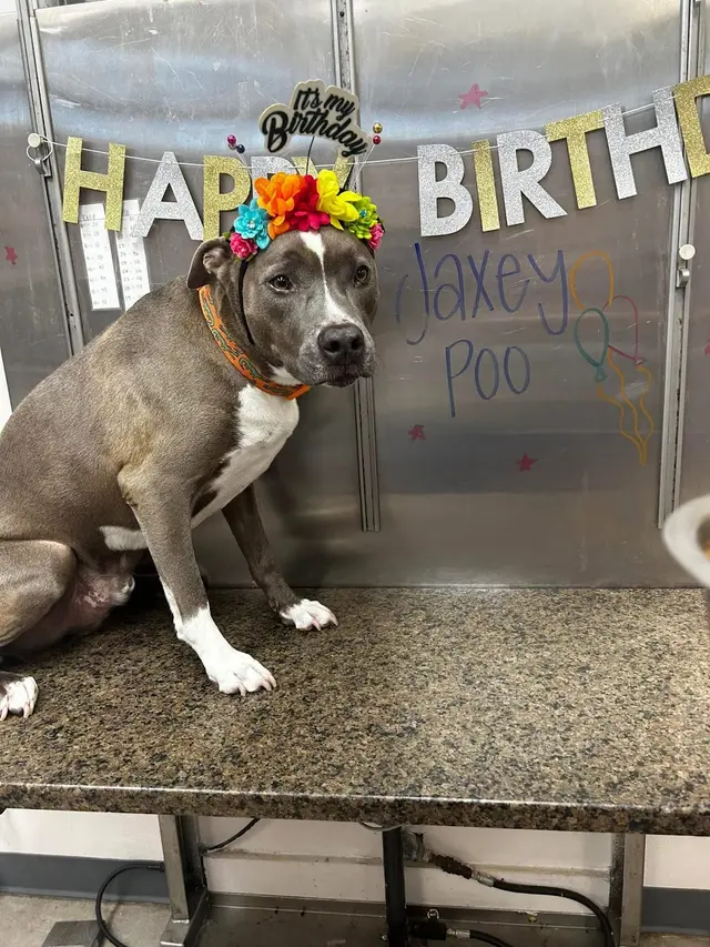 Pontchartrain Animal Hospital — photo from the business 12