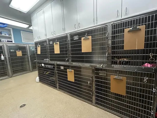 Pontchartrain Animal Hospital — photo from the business 10