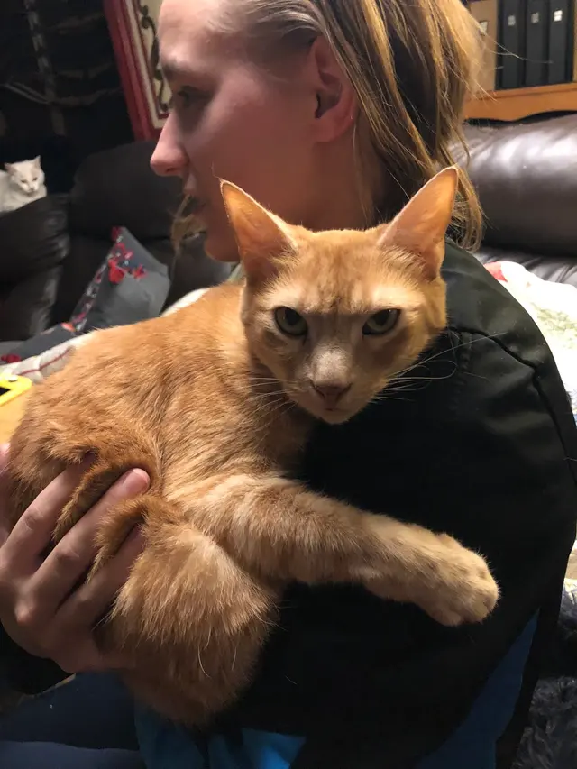 Pontchartrain Animal Hospital — customer photo 6