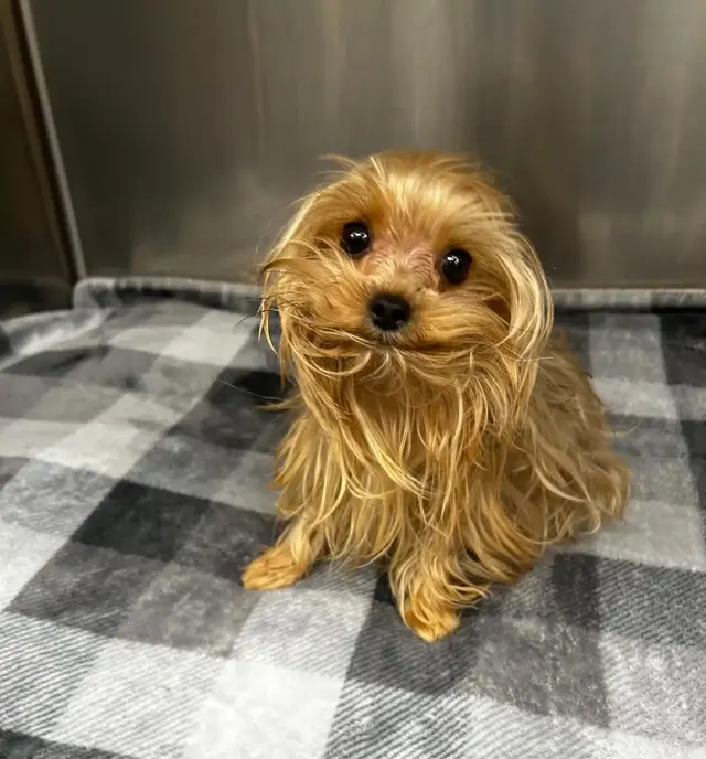 Pontchartrain Animal Hospital — photo from the business 9
