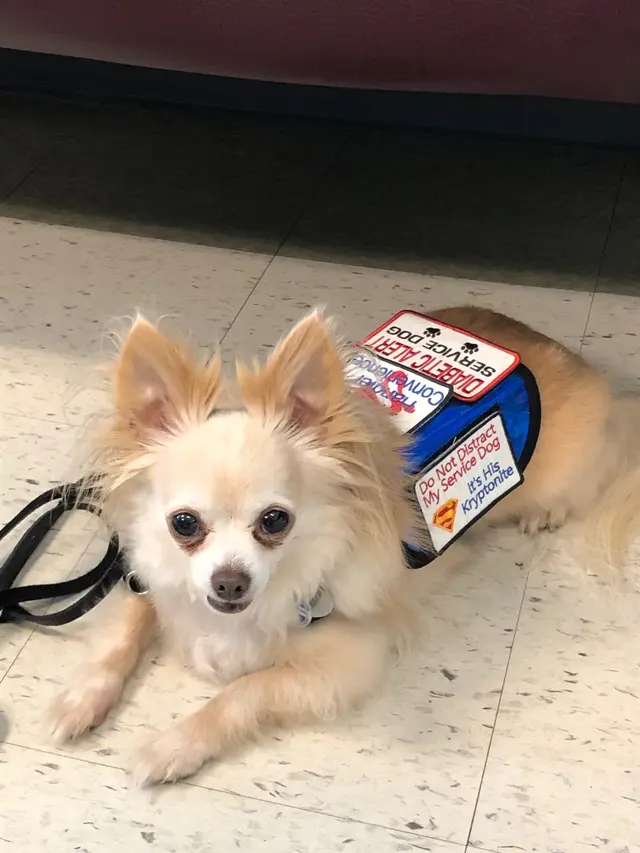 Southern Pearl Veterinary Hospital — customer photo 3
