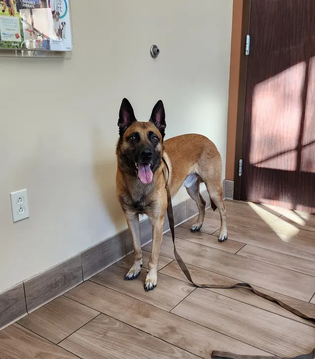 Southern Pearl Veterinary Hospital — customer photo 5