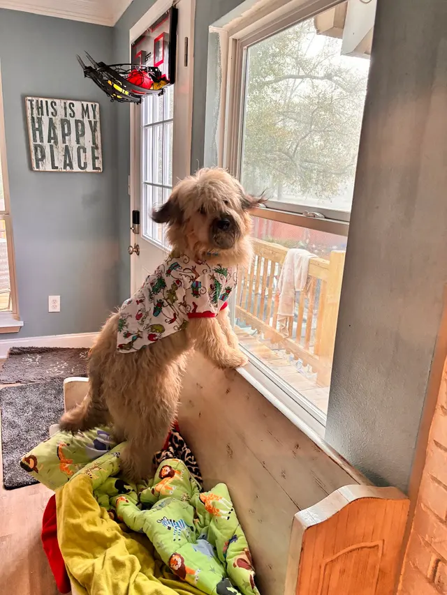 Slidell Veterinary Hospital — customer photo 6