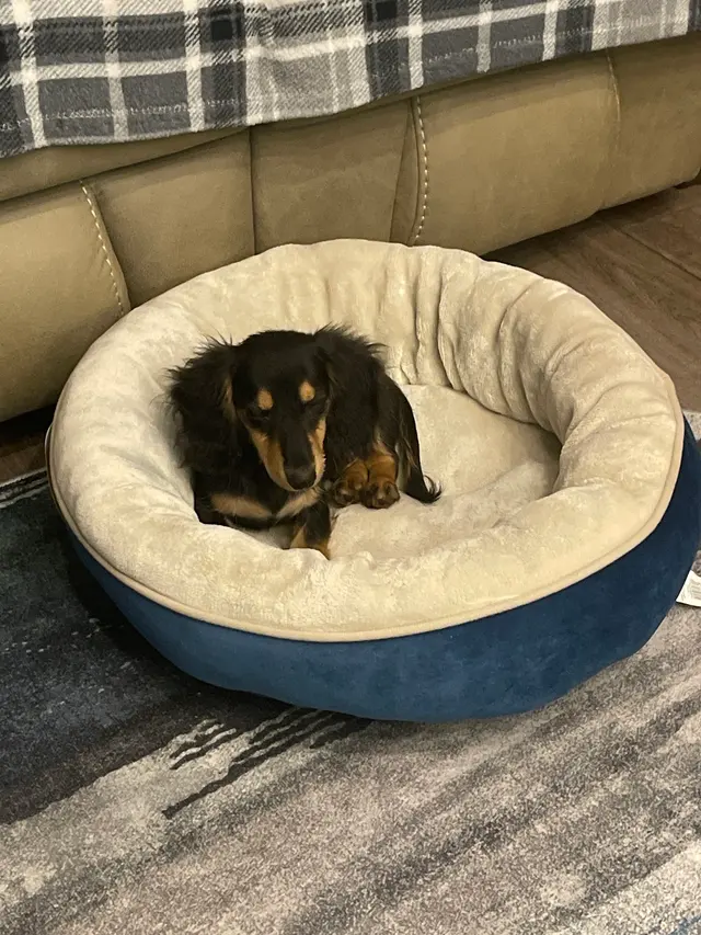 Slidell Veterinary Hospital — customer photo 9