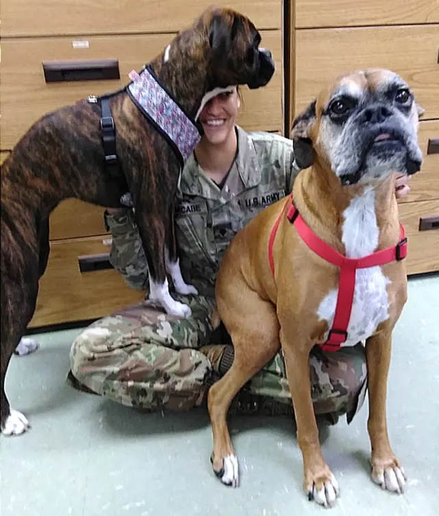 Acadian Veterinary Clinic — customer photo 3